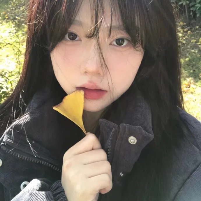 剩女约瑟芬国语